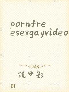 pornfreesexgayvideo