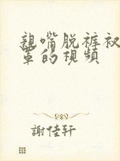 亲嘴脱裤衩脱胸罩的视频封面
