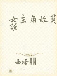 女主角姓莫的小说
