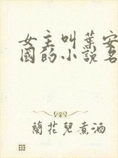 女主叫叶安叶卫国的小说名字