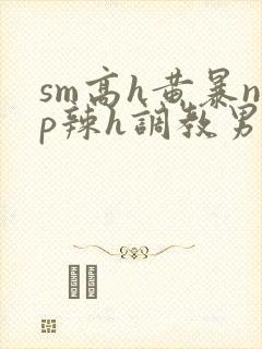 sm高h黄暴np辣h调教男奴