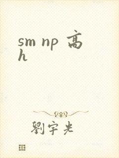 sm np 高h