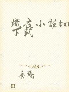 炽夜小说txt下载