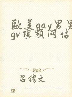 欧美gay男男gv视频网站封面