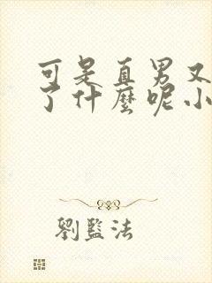 可是直男又做错了什么呢小说