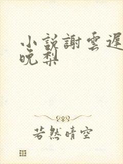 小说谢云迟和沈晚梨