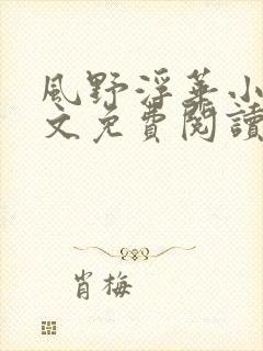 风野浮华小说全文免费阅读无弹窗