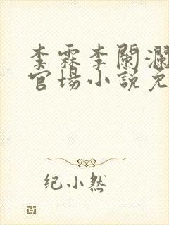李霖李阑澜巅峰官场小说免费阅读