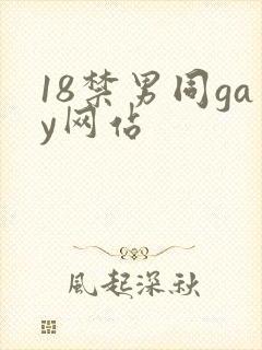 18禁男同gay网站