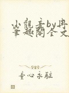 小观音by冉尔笔趣阁全文阅读封面