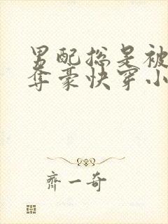 男配总是被强取夺豪快穿小说