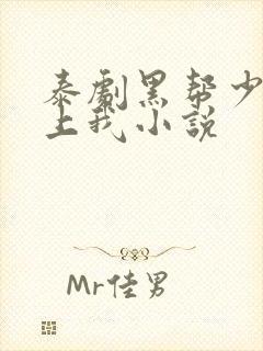 泰剧黑帮少爷爱上我小说