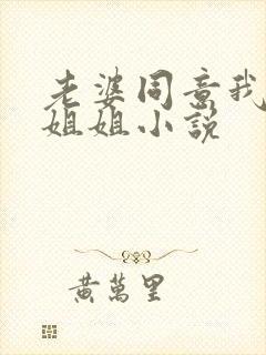 老婆同意我找她姐姐小说
