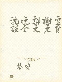 沈晚梨谢云迟小说全文免费