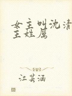 女主叫沈清欢男主姓厉封面