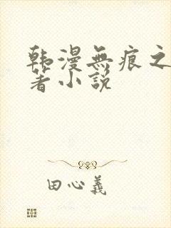 韩漫无痕之夜原著小说