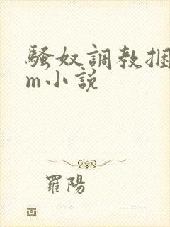 骚奴调教捆绑sm小说