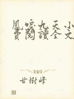凤唳九天小说免费阅读全文
