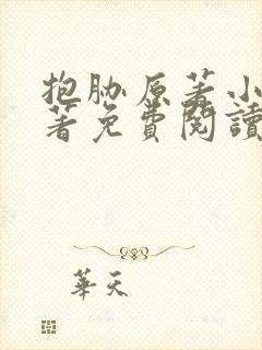 抱胁原著小说原著免费阅读