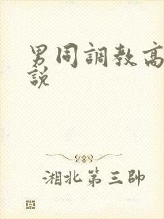 男同调教高h小说