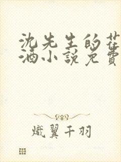 沈先生的花式调酒小说免费阅读