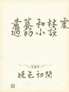 黄蓉和林震改编过的小说