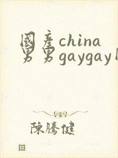国产china男男gaygay网站封面