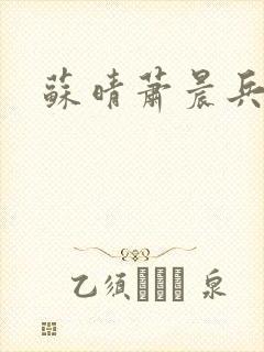 苏晴萧晨兵王
