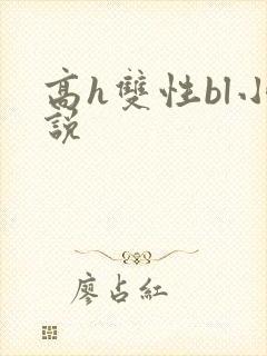 高h双性bl小说