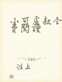小可卢叔全文免费阅读封面