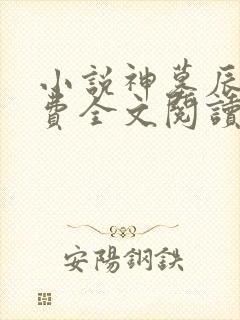 小说神墓辰东免费全文阅读