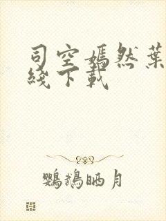 司空嫣然叶凡在线下载