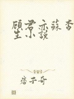 顾君亦苏杳国防生小说