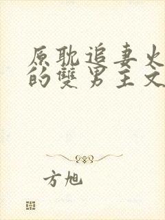 原耽追妻火葬场的双男主文推荐封面