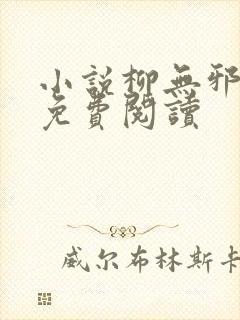 小说柳无邪全文免费阅读