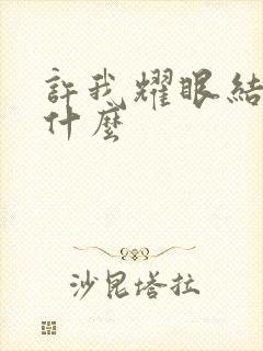 许我耀眼结局是什么