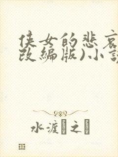 侠女的悲哀(含改编版)小说