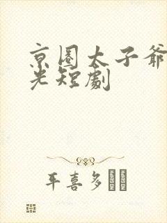 京圈太子爷白月光短剧