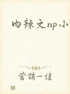 肉辣文np小说