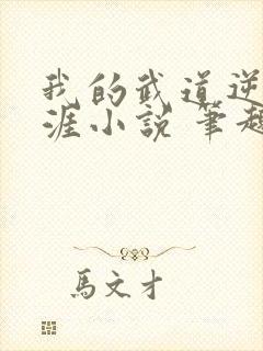 我的武道逆袭生涯小说 笔趣阁