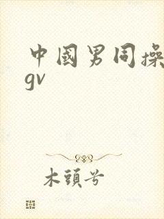 中国男同操亚洲gv