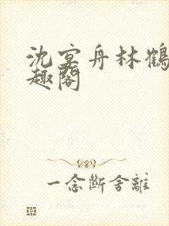 沈宴舟林鹤眠笔趣阁封面