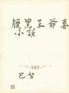 腹黑王爷喜当爹 小说