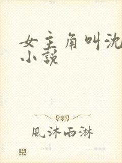 女主角叫沈颜的小说