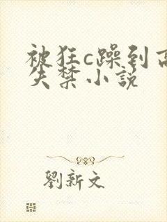 被狂c躁到高潮失禁小说