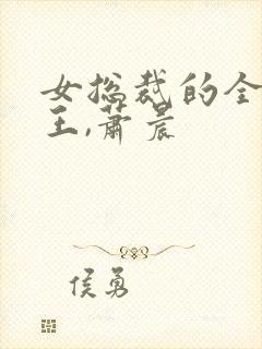 女总裁的全能兵王,萧晨
