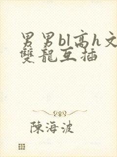 男男bl高h文双龙互插