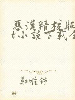 恶汉精校版txt小说下载全本