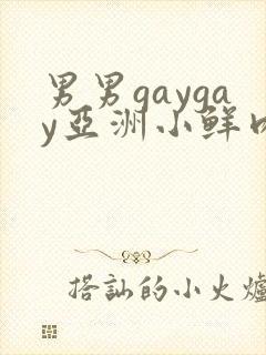 男男gaygay亚洲小鲜肉网站