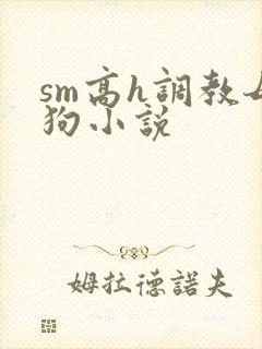 sm高h调教母狗小说